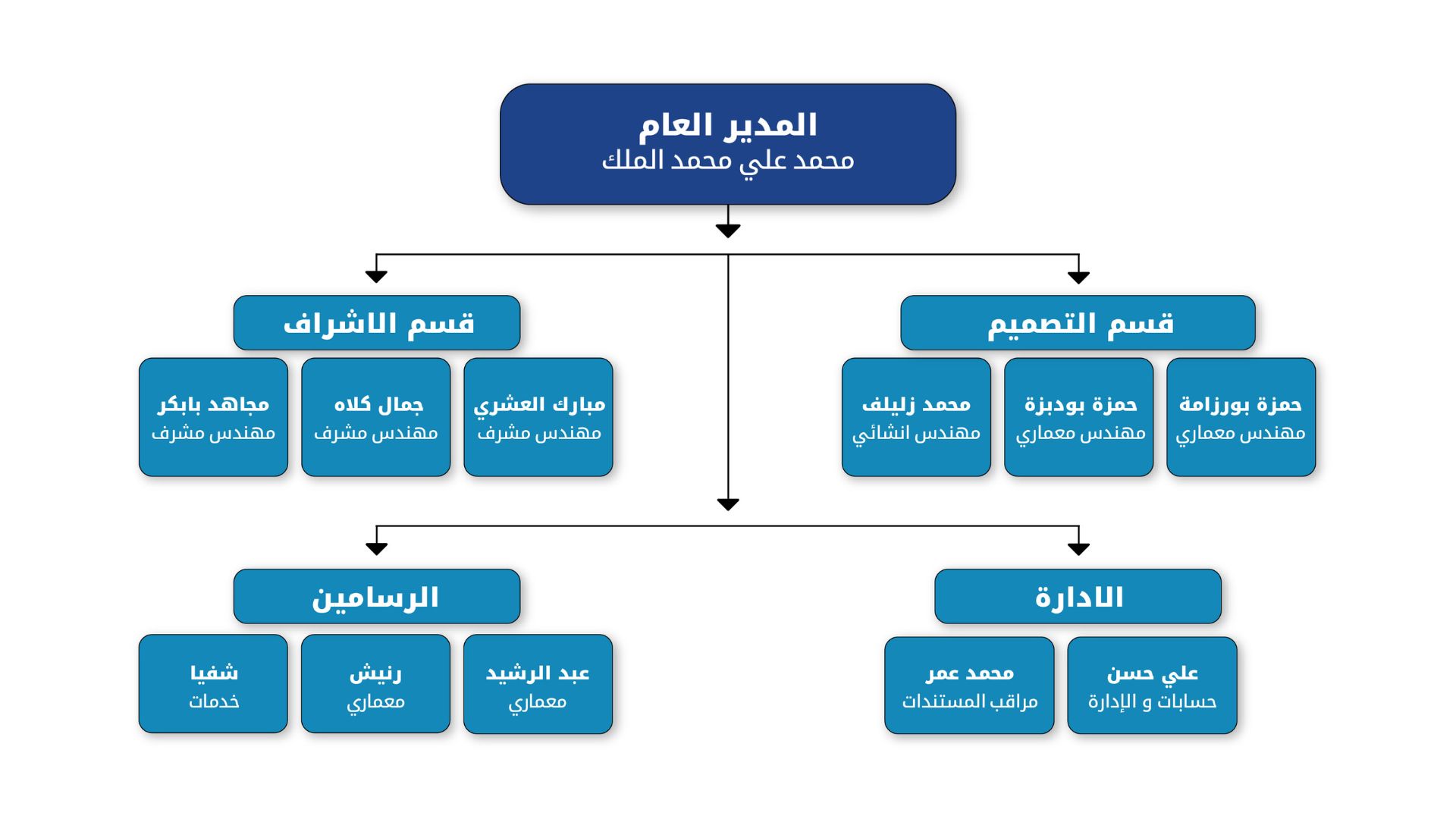 الهيكل التنظيمي